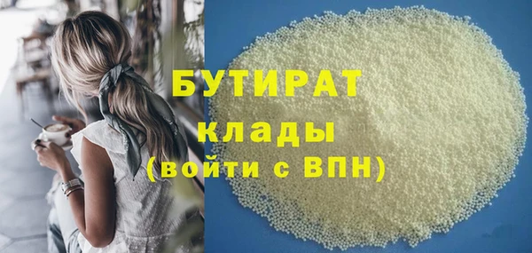 мдпв Бородино