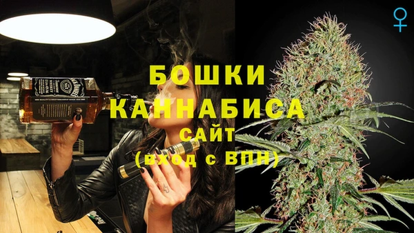 мдпв Бородино