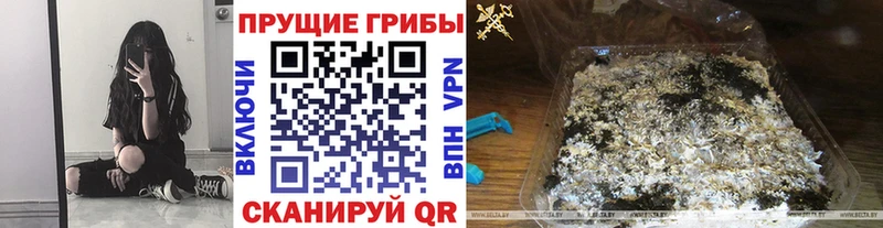 как найти закладки  Козьмодемьянск  Галлюциногенные грибы прущие грибы 
